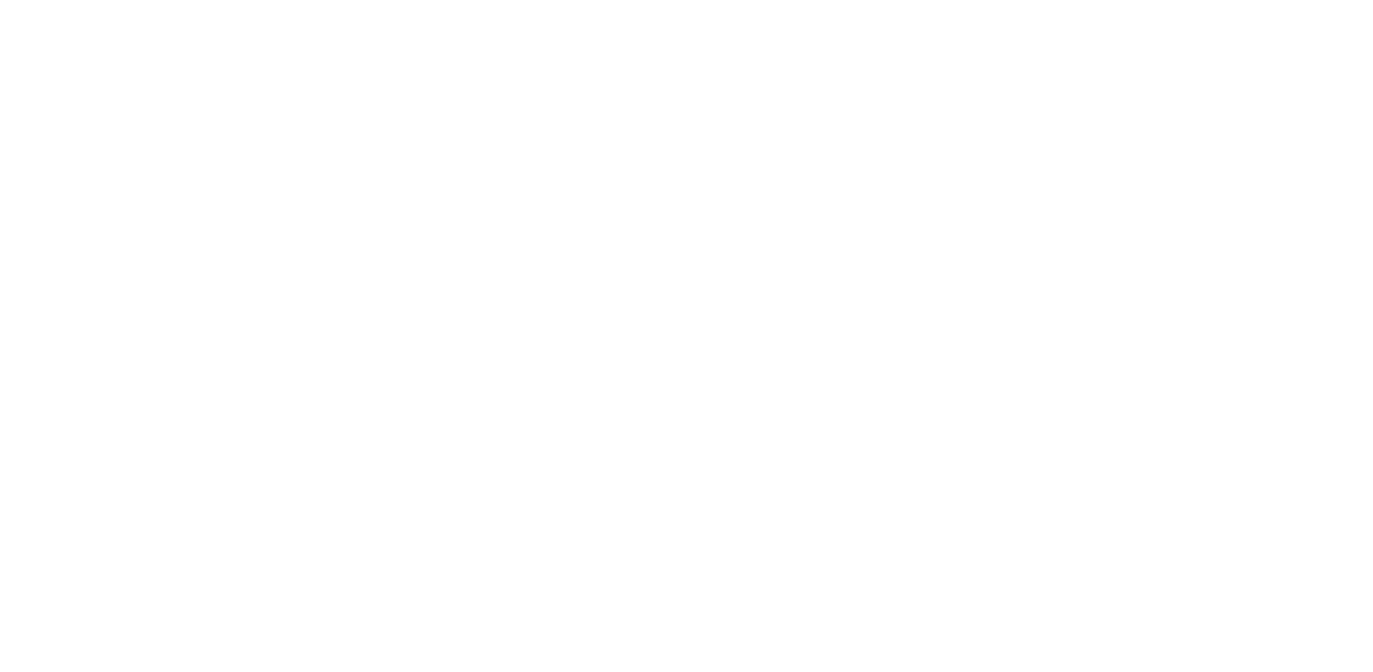 Anyops Logo